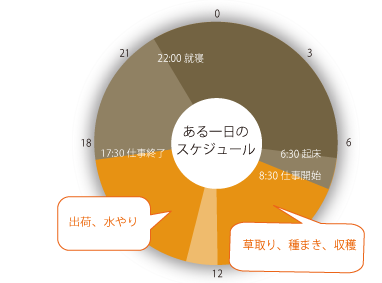 生活のスケジュールグラフ