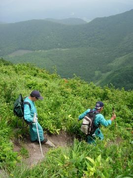 登山道の点検